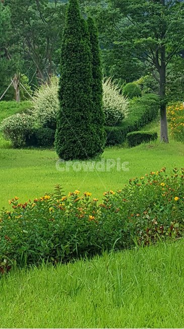자연,초록,나무,꽃,정원,자연,풍경,nature,landscape,grass,잔디,plant,식물,tree,green