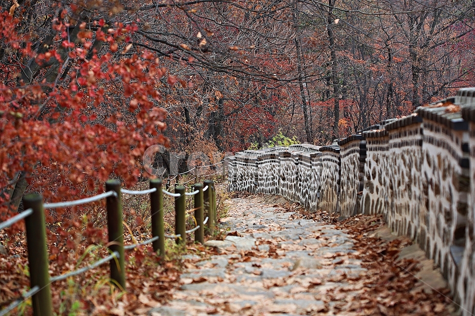 남한산성,성,성곽,단풍,낙엽,길,둘레길,숲,숲길,담,돌담,가을,자연,풍경,벽,울긋불긋,산성,식물,가을,계절,fall,autumn,season,한국전통,한국문화,korean traditional,korean culture,건축물,건물외관,exterior,building,structure,architecture,construction,plant,leaf,잎,tree,나무