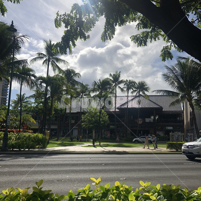 정원,garden,arbour,outdoors,숲,숲속의집,hawaii,하와이,건물,구름,하늘,해비치는하늘,나무,예쁜건물,햇살