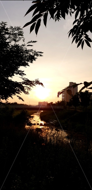 일출,아침,맑음,풍경,자연,도시,풍경,city,landscape,한국도시풍경,한국도시경관,korea cityscape,nature,outdoors,옥외,dusk,황혼,dawn,새벽,sky,하늘,red sky,붉은 하늘,sunset,일몰,sunlight,햇빛