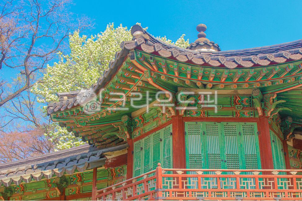 창덕궁, 고궁, 궁, 성, castle, 사진,이미지,일러스트,캘리그라피 - 닉네임11작가
