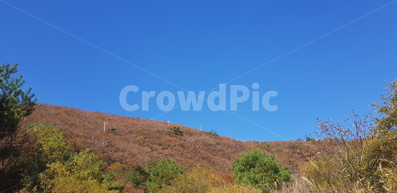 산,등산,나무,정상,하늘
