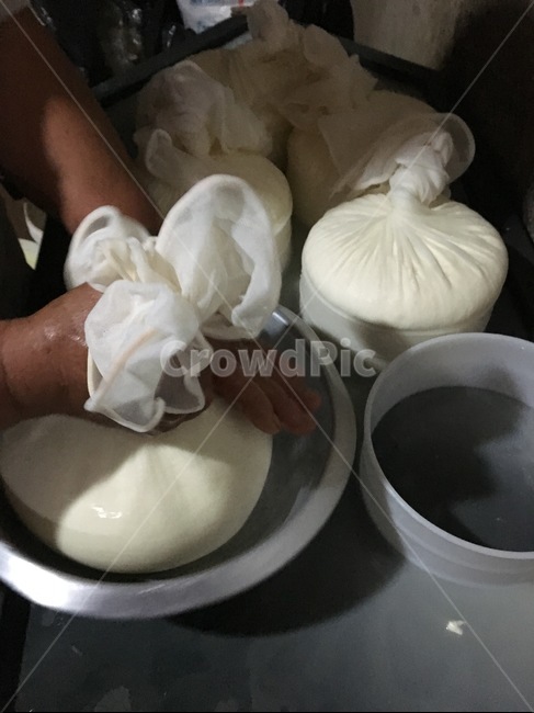 브라질,미나스제라스,전통,치즈,만드는과정,유청,유장,짜기,빼기,홈메이드,핸드메이드,손,남미,라틴,아메리카,음식,brazil,minasgerais,traditional,cheese,making,process,milk,drainage,whey,squeeze,home,hand,made,latin,southamerica,food