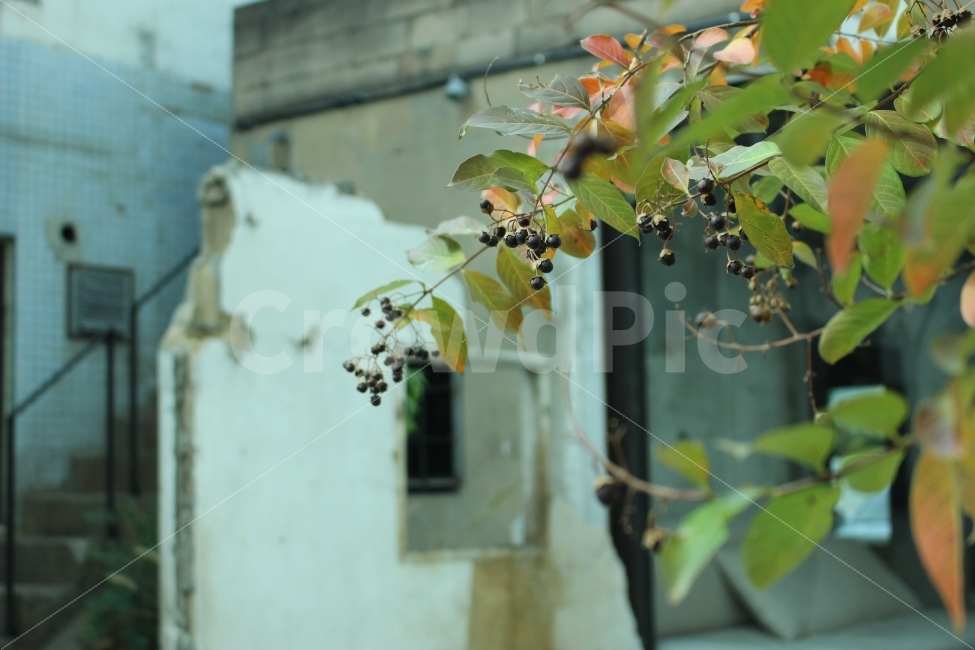 커피,카페,스페셜티,로스터리,인테리어,맛집,coffee,cafe,specialty,roastery,식물,자연,plants,nature
