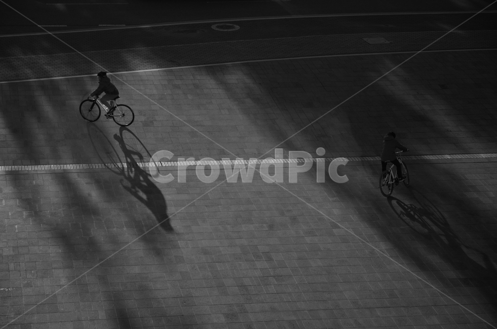자전거,그림자,흑백,절묘한,길,bicycle,wheel,person,흑백,모노톤,monochrome,black and white