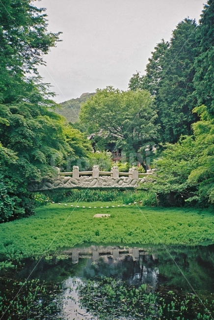 나무,숲,자연,연못,풍경,산,하늘,구름,필카,필름카메라,감성,자연,풍경,nature,landscape,한국자연풍경,한국자연경관,korea nature landscape,한국전통,한국문화,korean traditional,korean culture,outdoors,옥외,water,물