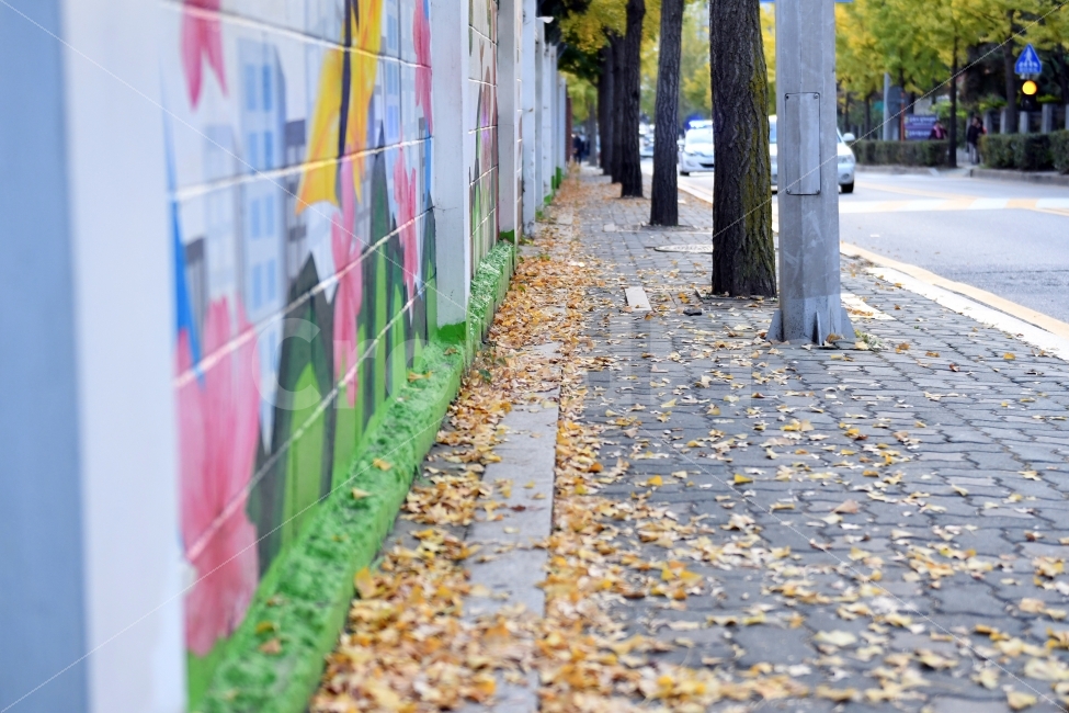 은행,낙엽,가을,스산,단풍,가을,계절,fall,autumn,season,도시,풍경,city,landscape,한국도시풍경,한국도시경관,korea cityscape