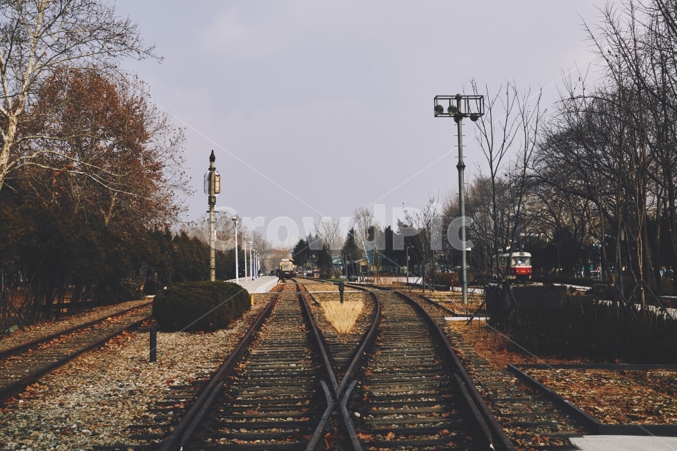 철길,기차역,오래된,쓸쓸함,낙엽,rail,railway,railroad,train,station,emotional,leaf,감성,sensible,feeling,교통,교통수단,traffic,transportation,레일,train track,기찻길,철도