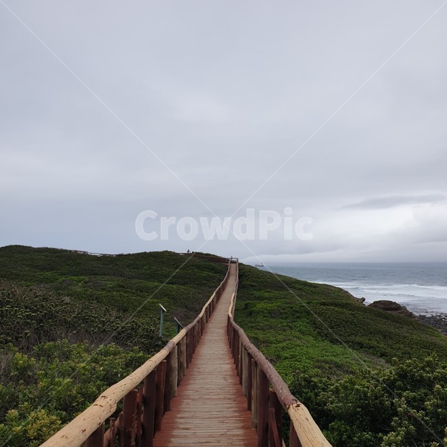 해변가,바다,대서양,울타리,다리,나무,길,차분한,자연,풍경,building,건물,boardwalk,산책로,bridge
