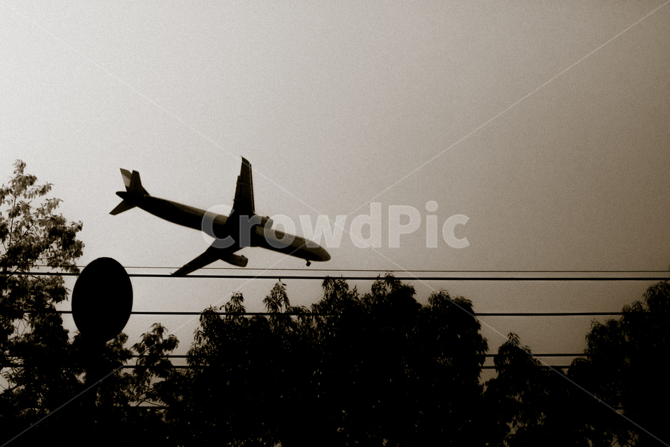 흑백,비행기,그림자,하늘,순간,모노크롬,monochrome,shadow,sky,airplane,우울함,순간포착,나무,흑백,모노톤,monochrome,black and white,교통,교통수단,traffic,transportation
