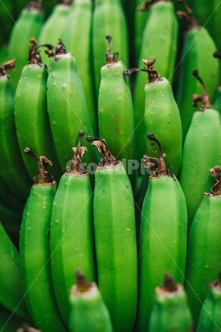 바나나,초록색,자연,배경,그린,바탕화면,배경화면,식물,food,음식,fruit,과일,plant