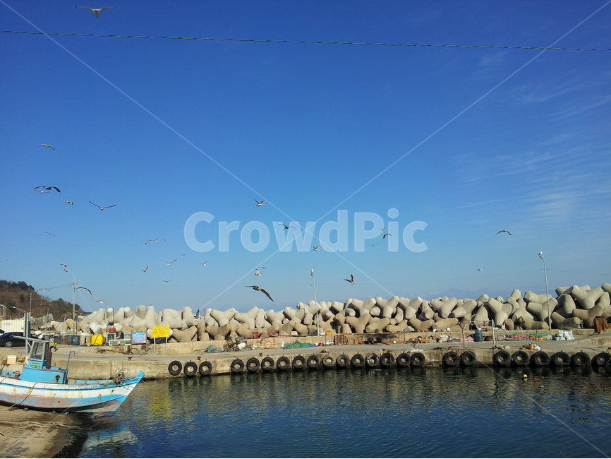 방파제,바다,자연,풍경,갈매기,자연,풍경,nature,landscape,동물,animal,조류,새,birds,water,물,watercraft,선박,transportation,교통,vehicle,차량,waterfront,워터 프론트,bird
