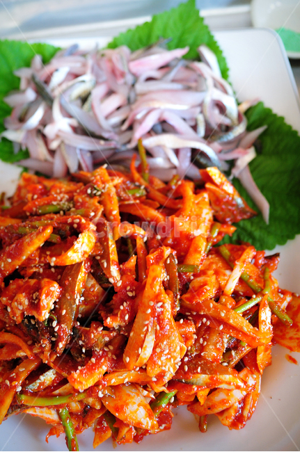 전어,전어무침,전어회,전어축제,홍원항,음식,식재료,요리,food,cook,meal,dishes,food reserves,수산물,해산물,fishery products,seafood