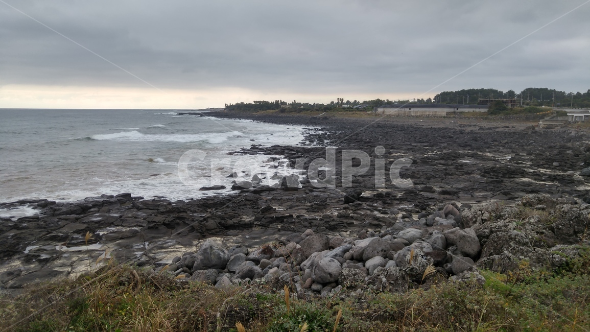 제주,제주도,해안,바다,바닷가,파도,풀,풀숲,grass,plant,잔디,식물,자연,풍경,nature,landscape