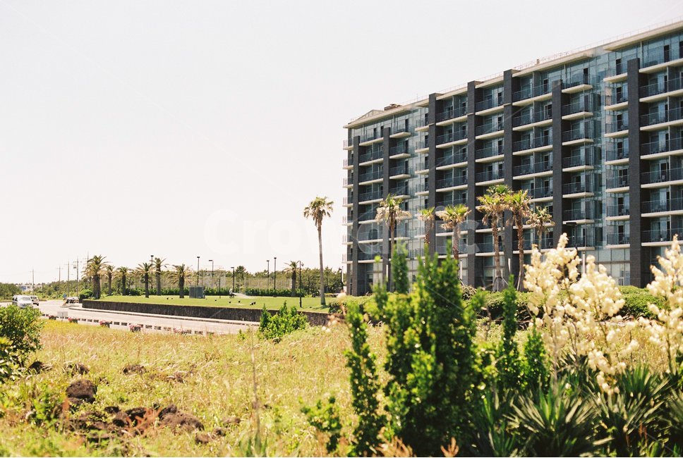 바다,제주도,콘도,휴양지,호텔,건축물,건물외관,exterior,building,structure,architecture,construction