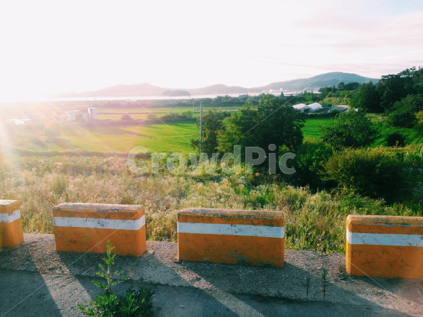 햇살,빛,sunlight,나무,tree,초록,시골,풍경,플레어,flare,landscape,scenery,scene,view,시골,마을,풍경,landscape,country,rural,town