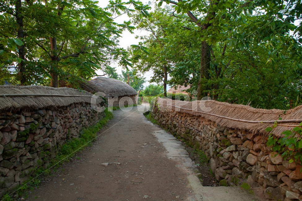 한국전통,한국문화,시골집,돌담길,초가집,골목길,alley,한국전통,한국문화,korean traditional,korean culture,건축물,건물외관,exterior,building,structure,architecture,construction,outdoors,옥외
