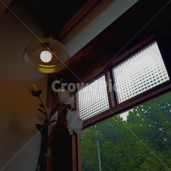 꽃,화분,조명,감성,창문,실내,빈티지,인테리어,실내디자인,interior design