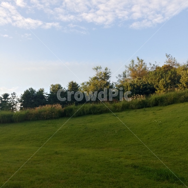올림픽,올림픽공원,잔디,하늘,여름,자연,나무,자연,풍경,nature,landscape,plant,식물,grass,field,들,outdoors,옥외