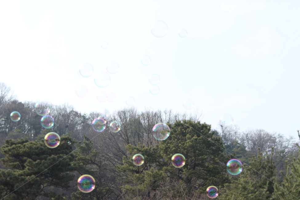 비눗방울,비누방울,방울,동심,놀이,하늘,인천대공원,자연,풍경,nature,landscape,bubble,거품