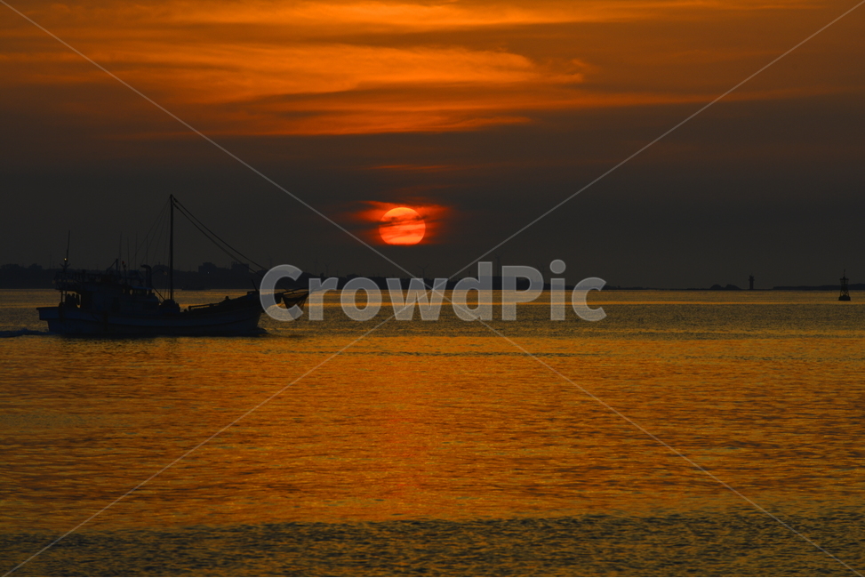 제주도,일몰,붉은노을,갈대,식물,nature,빛,light,자연,우도,boat,보트,outdoors,저녁,서빈백사,자연,풍경,nature,landscape
