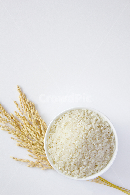 화이트,흰색,하얀색,흰배경,쌀알,알갱이,볍씨,씨,씨앗,열매,쌀알갱이,식물,자연,쌀,벼,곡식,곡물,음식,식재료,요리,곡류,이삭,그릇,밥그릇,탑,탑뷰,탑앵글,원,원형,음식,식재료,요리,food,cook,meal,dishes,food reserves,곡류,곡식,cereals