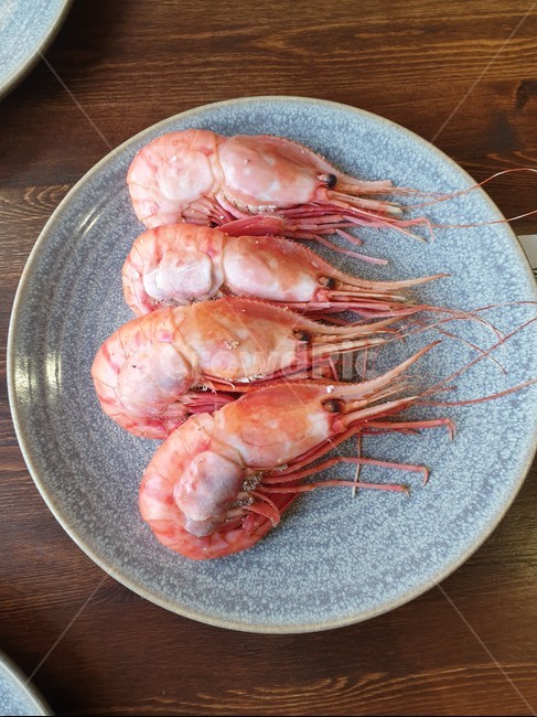 해양생물,sealife,seafood,food,음식,독도새우