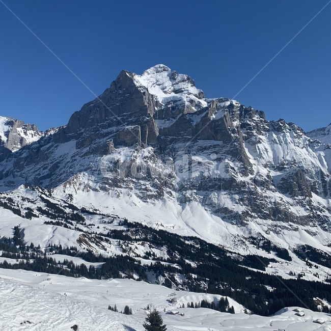 유럽,europe,스위스,swiss,switzerland,융프라우,jungfrau,융프라우산,산,mountain,outdoors,옥외,nature,자연,mountainrange,산맥,peak,피크,snow,눈,풍경,landscape,겨울,계절,winter,season,자연,풍경,nature,landscape