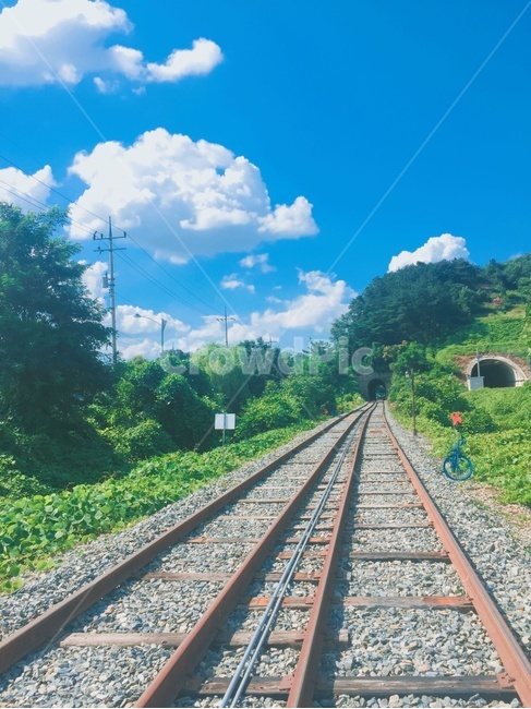 여름,레일,기찻길,레일바이크,터널,나무,푸르름,풍경,녹색풍경,힐링,휴식
