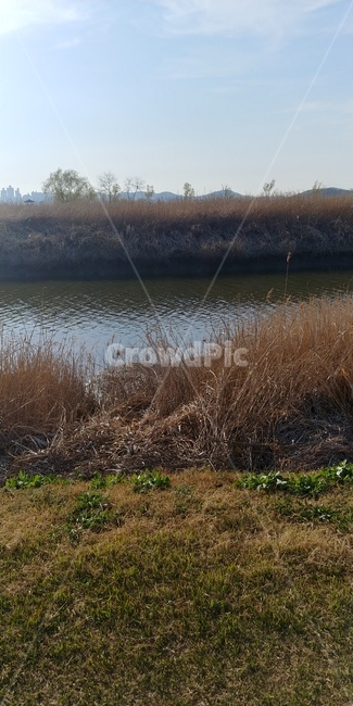 water,물,nature,자연,땅,land,자연,풍경,nature,landscape,outdoors,옥외