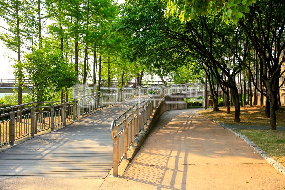forest,nature,tree,walkway,path,overpass,outdoors,road,railing,plant,garden,bridge,park,Seonyudo Park