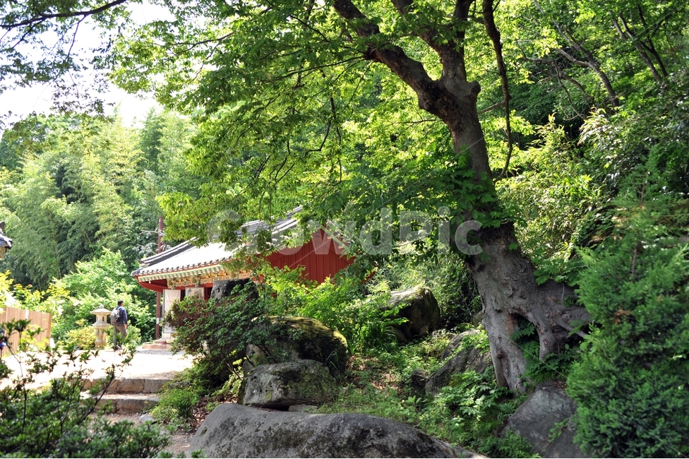 절,사찰,한옥,불교,부처님오신날,신앙,믿음,기도,한국사찰,부산사찰,건축,기와,종교,붓다,한국전통,범어사,자연,풍경,nature,landscape,한국자연풍경,한국자연경관,korea nature landscape,한국전통,한국문화,korean traditional,korean culture,outdoors,옥외,human,인간,person,사람,garden,정원,arbour,정자