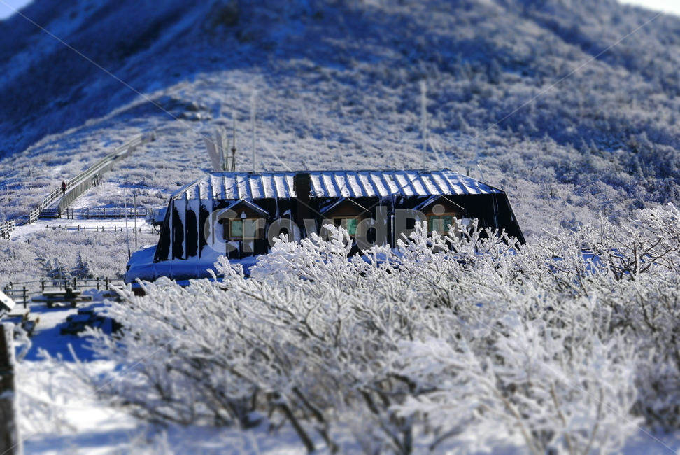설악산,설산,눈내린산,대청봉,눈설악,겨울산,겨울,눈,설경,겨울,계절,winter,season