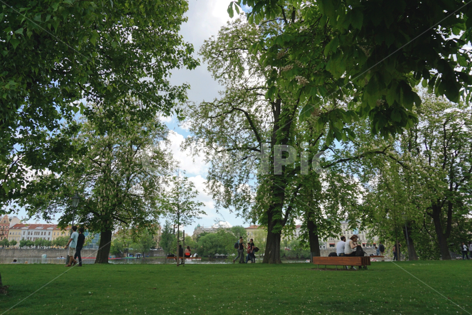 공원,유럽,europe,park,여유,예쁜,자연,힐링,산책,피크닉,외국,foreign,봄,spring,나무,식물,tree,plants,healing,green