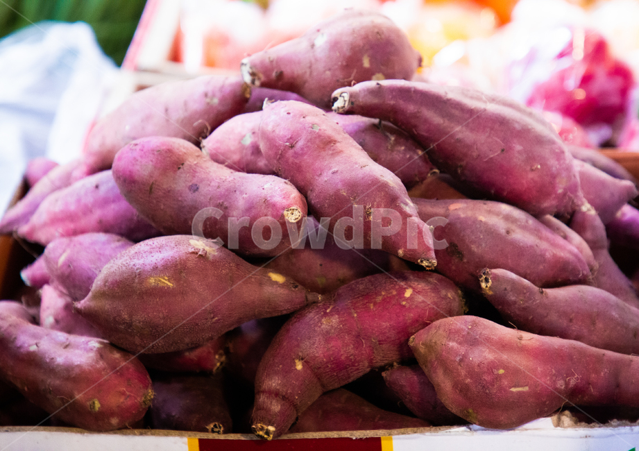 야채,vegetable,고구마,sweetpotato,plant,식물,food,음식,produce,agriculture,Asia,Asian,background,beautiful,closeup,color,cooking,delicious,diet,eating,fresh,health,healthy,ingredient,korean,market,marketplace,meal,natural,nature,nutrition,organic,outdoor,pile,potato,purple,raw,red,root,sweet,tasty,traditional,vegetarian,yam,농산물,아시아,음식,식재료,요리,food,cook,meal,dishes,food reserves