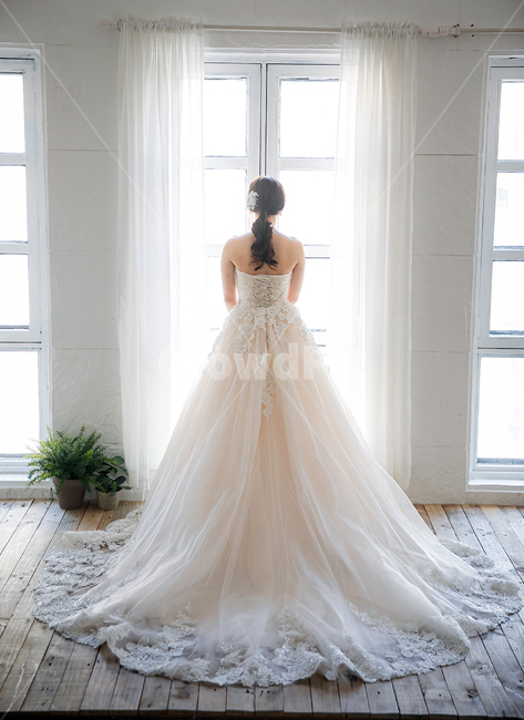 wedding,웨딩,웨딩촬영,신부,드레스,웨딩드레스,사람,인물,인간,human,person,여성,여자,woman,female,lady,결혼,혼례,웨딩,wedding,marriage,marry