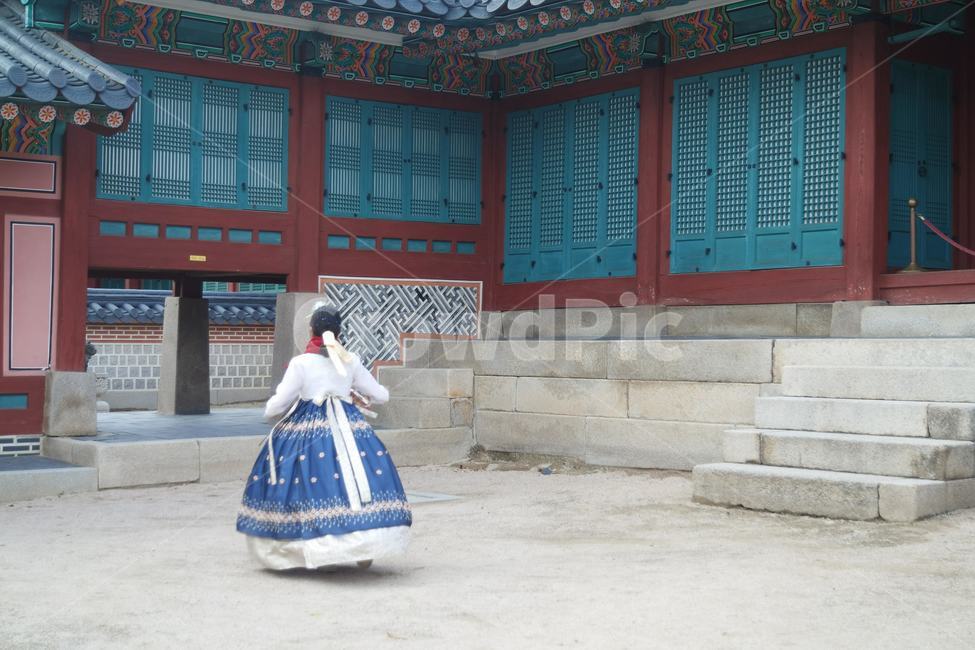 경복궁,한복,뒷모습,가을,고궁,낙엽,소녀,한국전통,한국문화,korean traditional,korean culture,한복,한국전통의상,hanbok,korean traditional clothes,사람,인물,인간,human,person,여성,여자,woman,female,lady