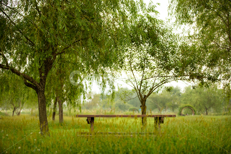 공원,생태공원,휴식,의자,테마,야외,자연,풍경,nature,landscape,휴식,힐링,rest,relaxation,healing,tree,나무,plant,식물,tree trunk,나무 줄기