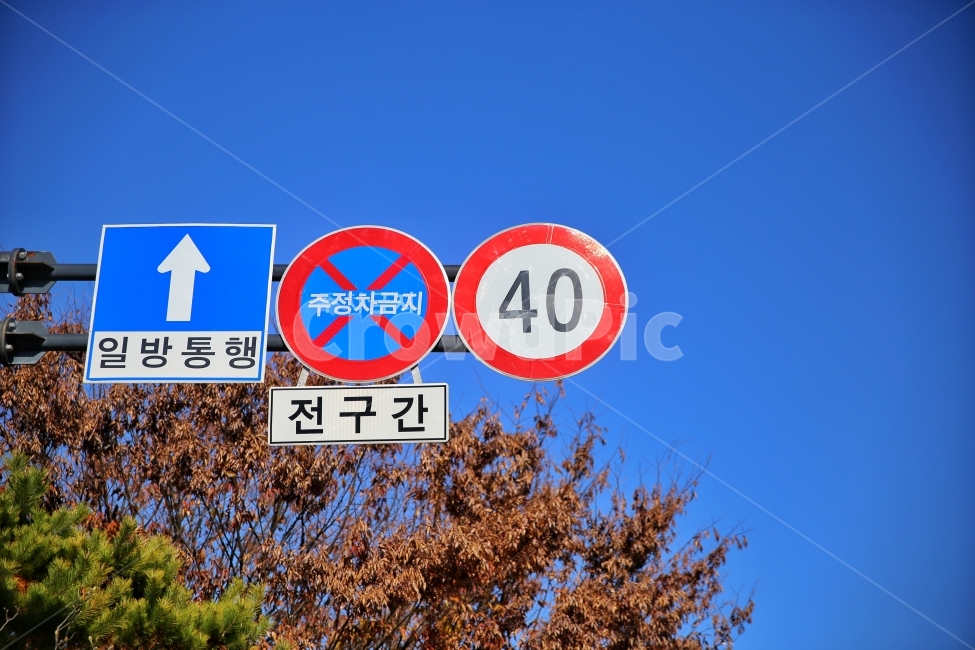도로,표지판,일방통행,나무,하늘,street,way,tree,fall,autumn,교통,교통수단,traffic,transportation