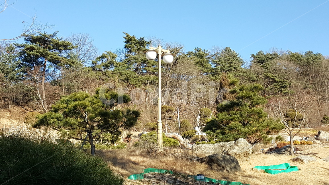 공원,자연,풍경,산,조경,나무,식물,경치,자연,풍경,nature,landscape
