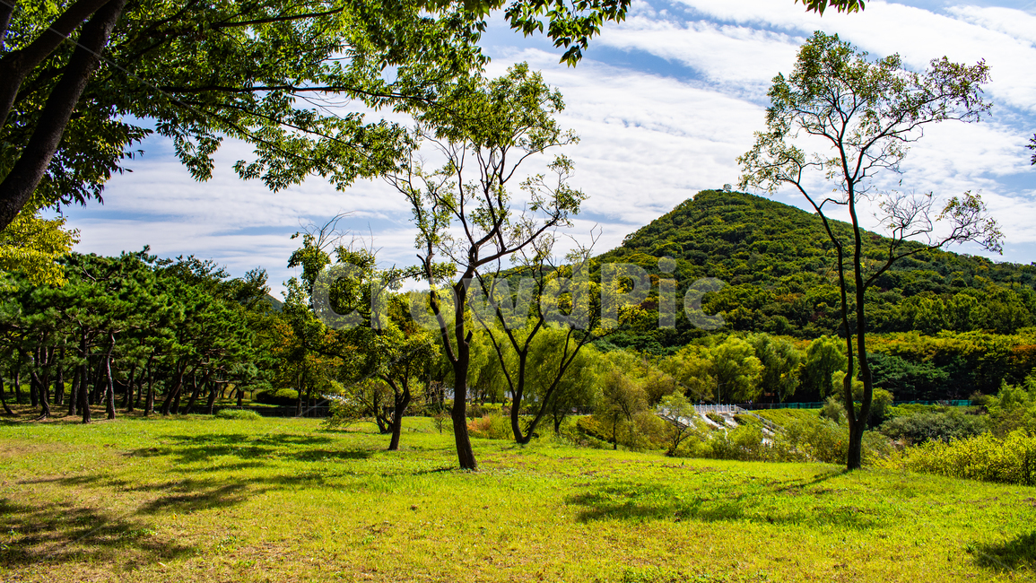 숲,자연,관모산,풍경,잔디,자연,풍경,nature,landscape,grassland,목초지,outdoors,옥외,field,들