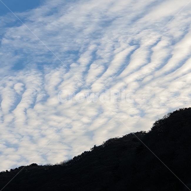 하늘,구름,파랑,감성,뭉게구름,분위기,자연,풍경,nature,landscape,outdoors,옥외,sky