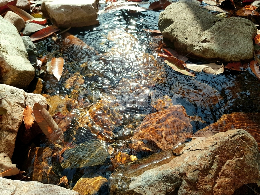 물,water,자연,nature,시냇물,outdoors,옥외