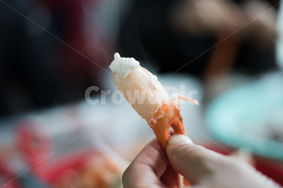 대게,게,영덕대게,갑각류,음식,대게찜,크랩,식재료,lobster,랍스터,seafood,해물,해양생물,food,살고기,음식,식재료,요리,food,cook,meal,dishes,food reserves,수산물,해산물,fishery products,seafood
