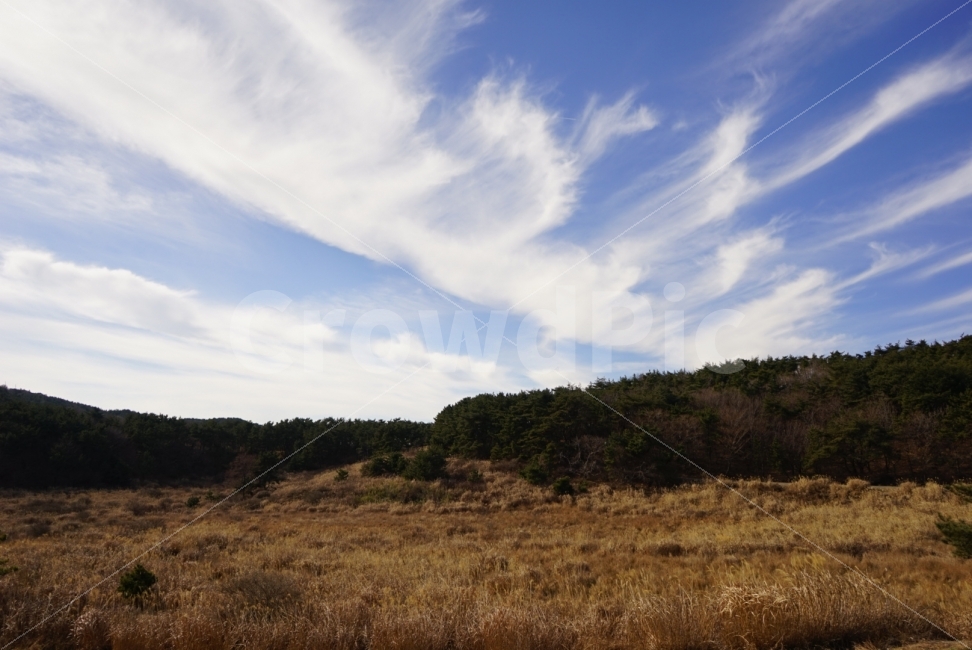 산,구름,하늘,갈대밭,자연,mountain,sky,cloud,자연,풍경,nature,landscape,outdoors,옥외