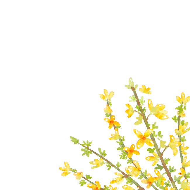 cluster,delicate,Fresh,advanced,sign,shopping mall,discount,hope,spring,drawing,visual,Freshness,vip,border,edit,invitation,bouquet,Design editor,background,Watercolor,card,frame,yellow,premium,flower wreath,design,event,flower frame,flashlight,pretty,art