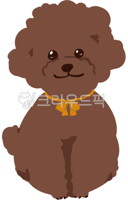 Poodle,toy poodle,brown poodle,African poodle,puppy,pet,companion dog,pet,family,small dog,doggy,ribbon puppy,miniature poodle,doggy,puppy icon,cute,cute puppy