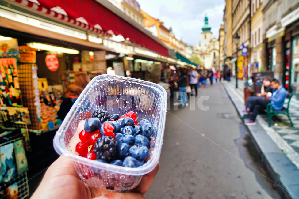 하멜시장,체코,시장,블루베리,산딸기,fruit,과일,blueberry,음식,food