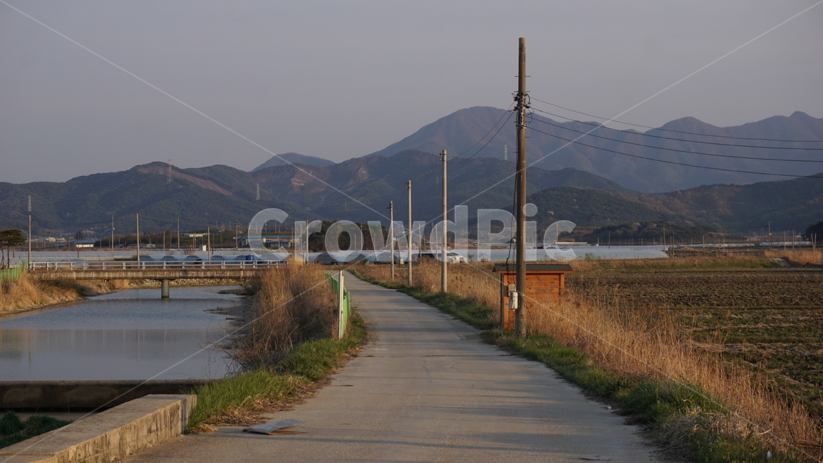 시골길,고향길,집에가는길,고창,시골,countrylane,countryside,waytogohome,gochang
