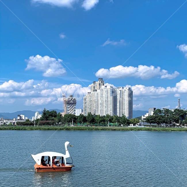 오리배,하늘,풍경,건물,수성못